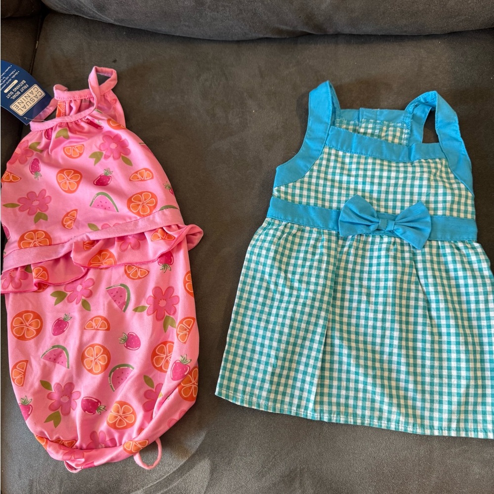 Pink Floral and Blue Gingham Dog 🐶 outfits